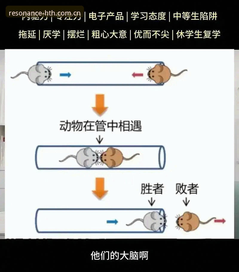 最新中国区APP下载 5个关键节点,看懂皮奥如何从射失点球到破茧成蝶